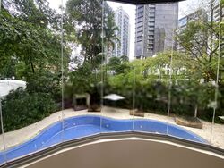 Mount Elizabeth Link (D9), Apartment #475553411